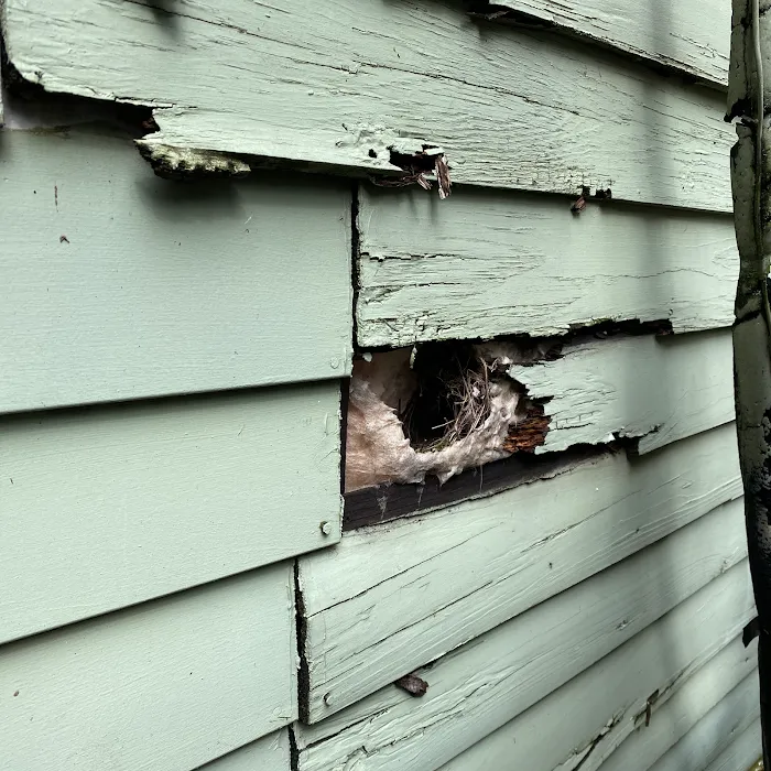 Olympic Pest & Termite Control, Inc. Picture 8