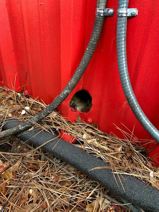 Olympic Pest & Termite Control, Inc. Picture 4