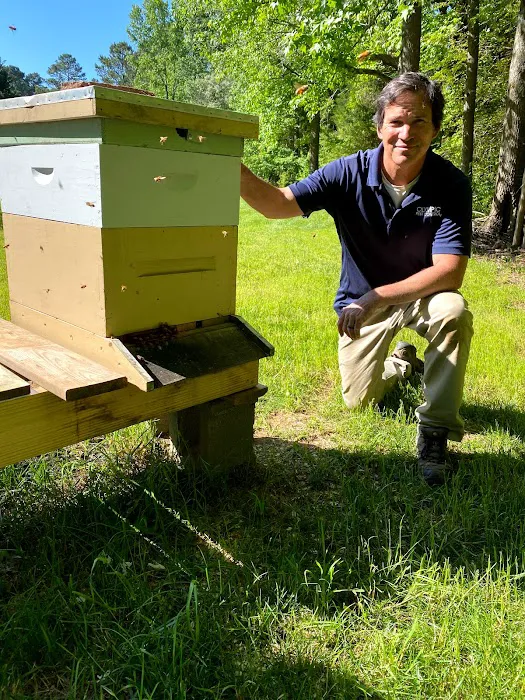 Olympic Pest & Termite Control, Inc. Picture 1