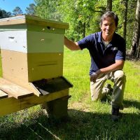 Olympic Pest & Termite Control, Inc. ico