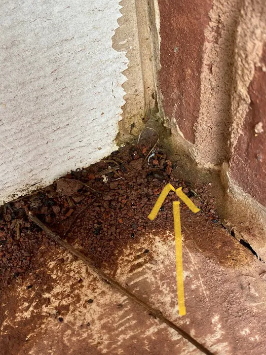 Olympic Pest & Termite Control, Inc. Picture 9