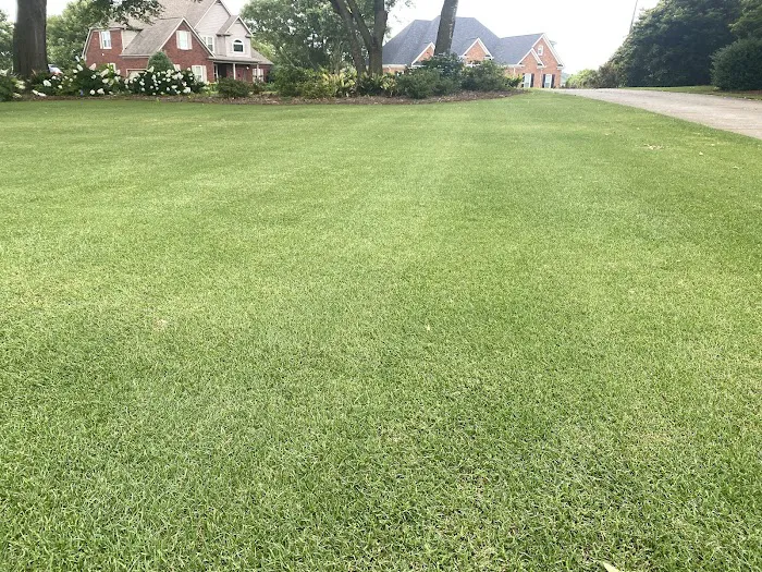 Top Turf Lawn Care and Pest Management Picture 9