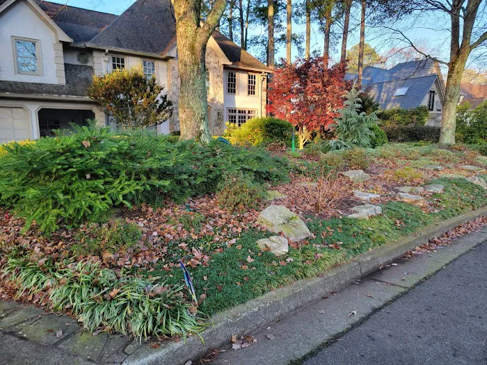 Top Turf Lawn Care and Pest Management Picture 1