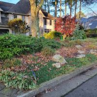 Top Turf Lawn Care and Pest Management ico