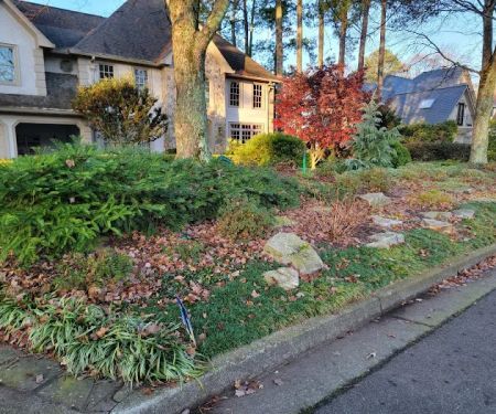 Top Turf Lawn Care and Pest Management