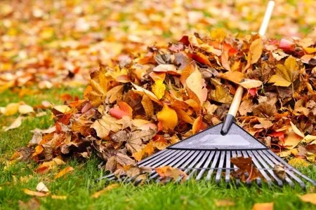 ALF Lawn and Pest Solutions Picture 1