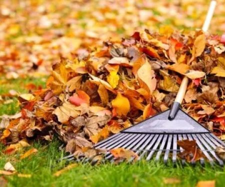 ALF Lawn and Pest Solutions