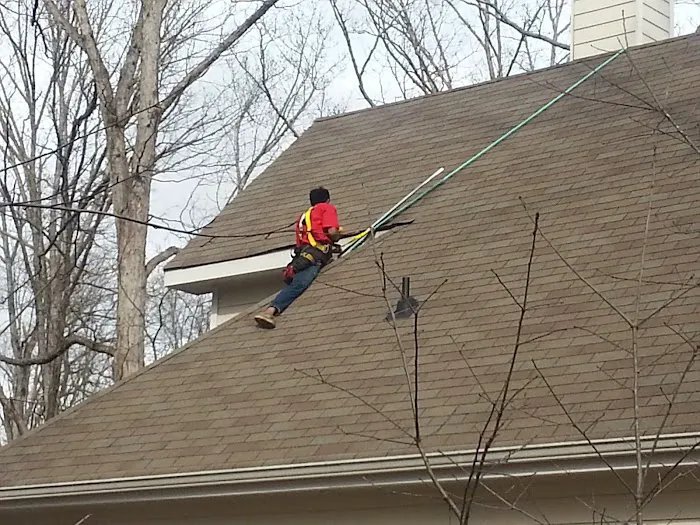 Forsyth Exterminating Picture 9