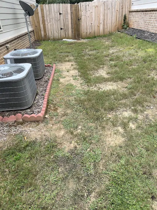 Massey Services Pest Control Picture 5