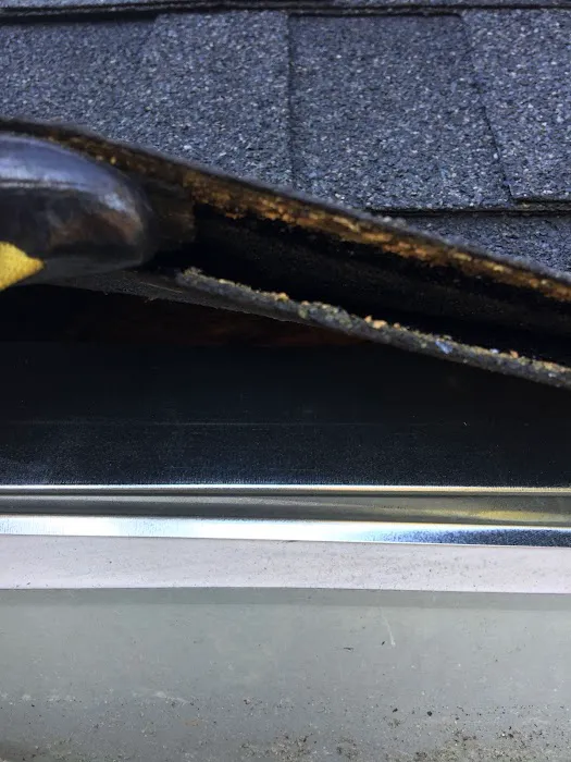 SurGuard Exterminating Inc Picture 1