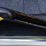 SurGuard Exterminating Inc