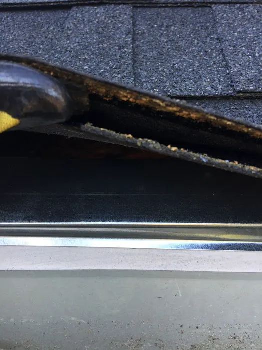 SurGuard Exterminating Inc Picture 8