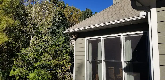 Canton Termite & Pest Control Picture 5