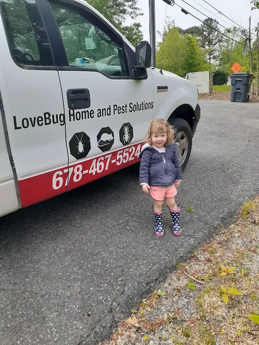 Lovebug Home and Pest Solutions Picture 2