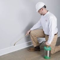 Forsyth Exterminating ico