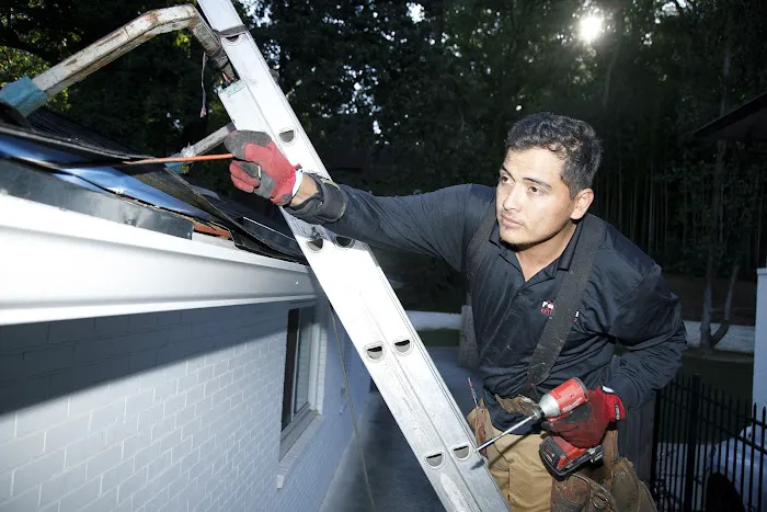 Forsyth Exterminating Picture 9