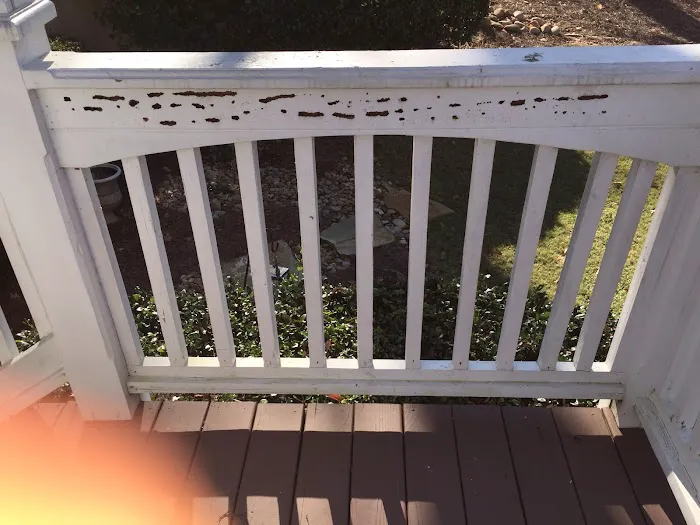 Halliday Pest Control Picture 6