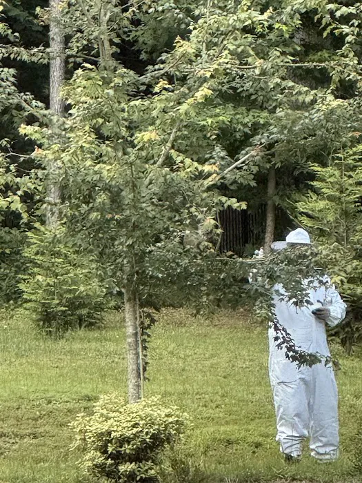Northwest Exterminating - Monroe Picture 9
