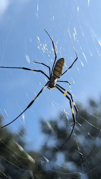 Procare Pest Services Picture 2