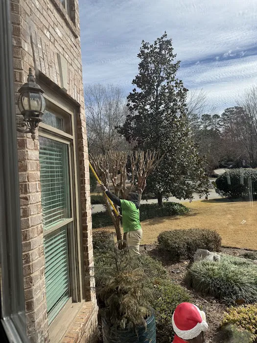 Procare Pest Services Picture 8