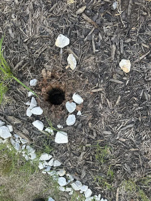 Procare Pest Services Picture 9