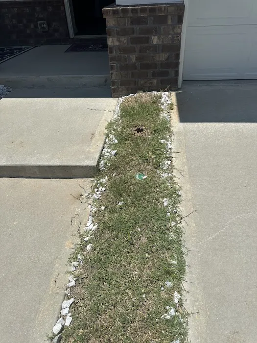 Procare Pest Services Picture 4