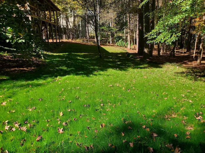ECO TURF GEORGIA LLC Picture 4