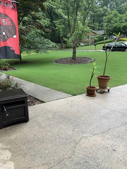 ECO TURF GEORGIA LLC Picture 6