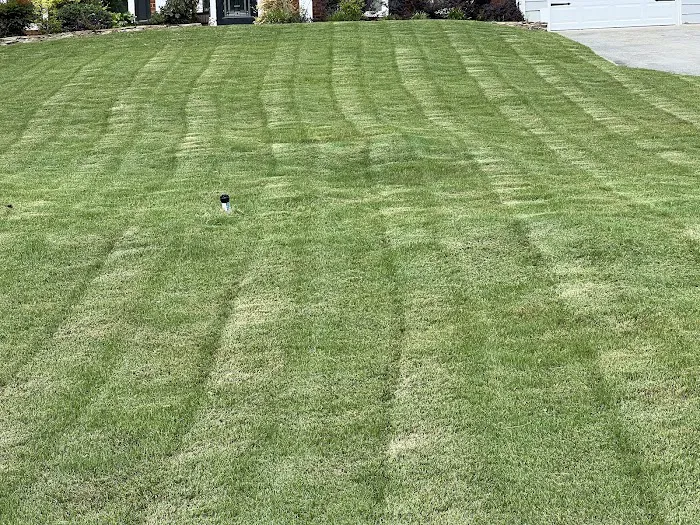 ECO TURF GEORGIA LLC Picture 3