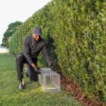 Active Pest Control