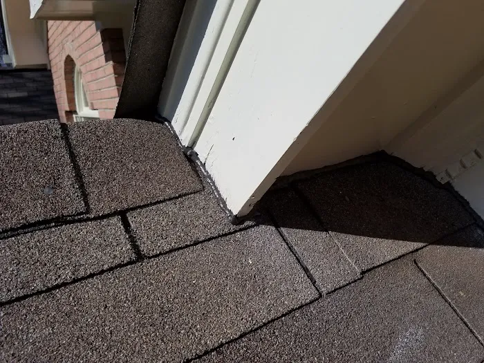 Wildlife Removal Specialist of Atlanta Picture 1