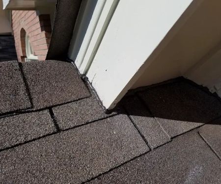 Wildlife Removal Specialist of Atlanta