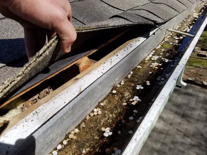 Wildlife Removal Specialist of Atlanta Picture 2