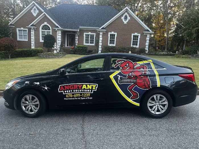 Angry Ant Pest Solutions Picture 2