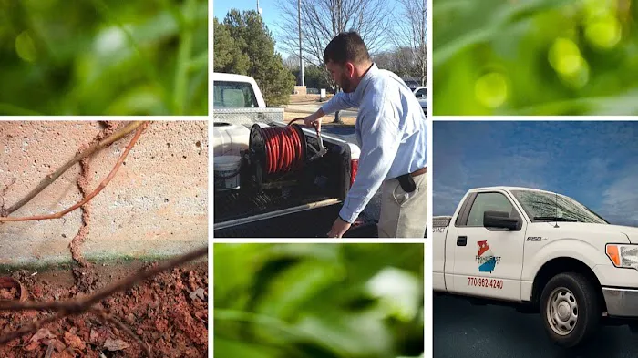 Prime Pest Solutions Picture 9