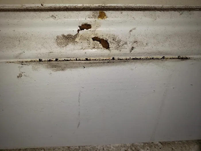 Arrow Exterminators Picture 3