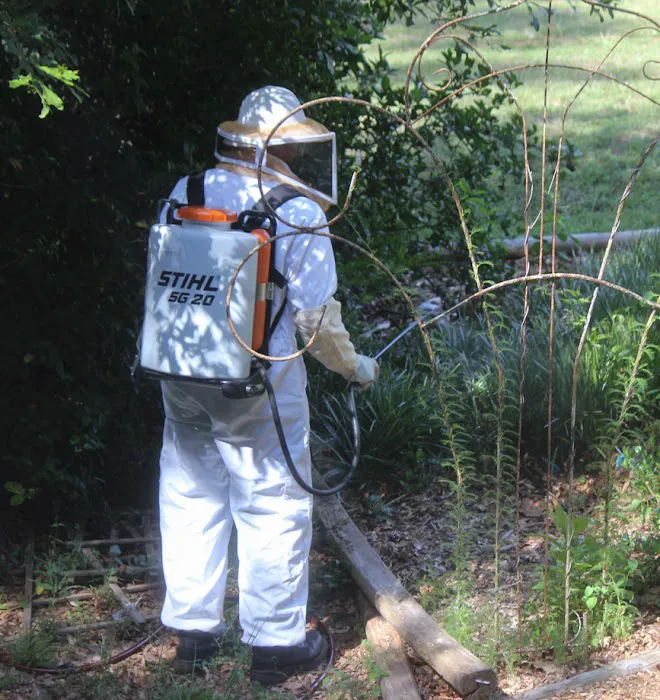 Arrow Exterminators Picture 4