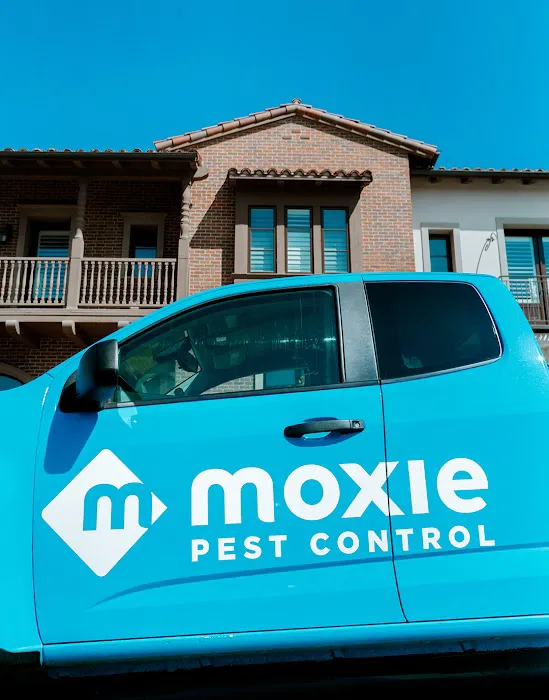 Moxie Pest Control Picture 6