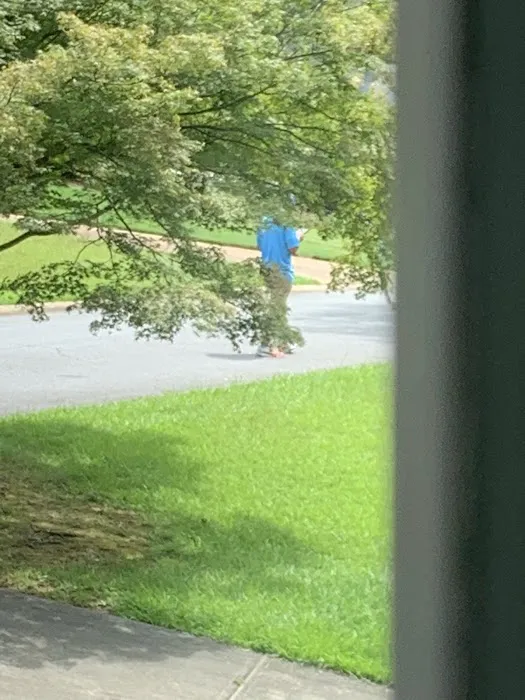 Moxie Pest Control Picture 10