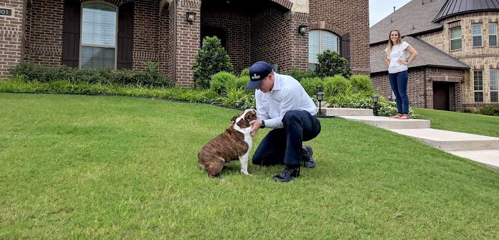 Moxie Pest Control Picture 1