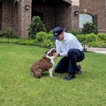 Moxie Pest Control