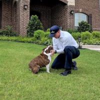 Moxie Pest Control ico