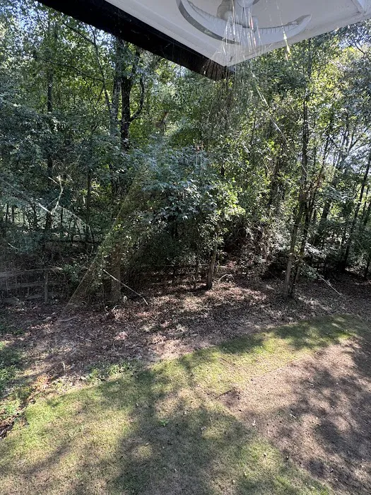 Anthem Pest Control Picture 6