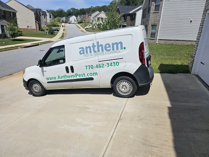 Anthem Pest Control Picture 4