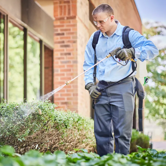 Anthem Pest Control Picture 7