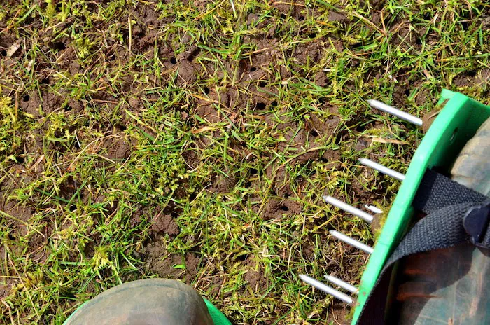 Proactive Pest Control Picture 3