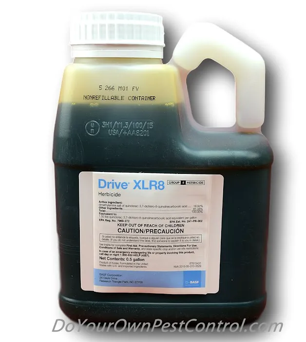 Do It Yourself Pest Control Picture 8