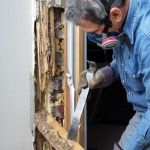Midland-Pest Control LLC