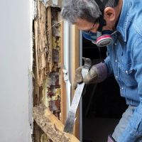 Midland-Pest Control LLC ico