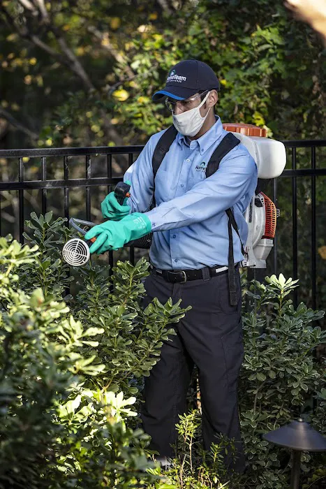 HomeTeam Pest Defense Picture 4